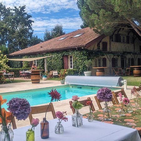 Maison Pimoli : Chambre Garance Soustons Zewnętrze zdjęcie